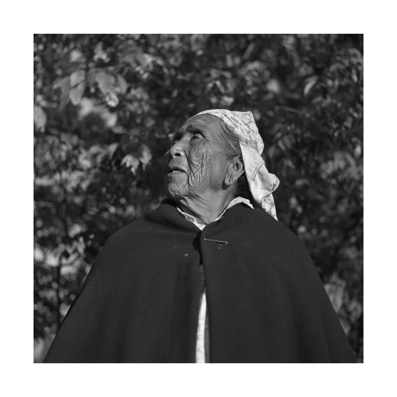 Miniatura del objeto Anciana Mapuche